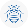 Bed Bug Extermination In Withington
